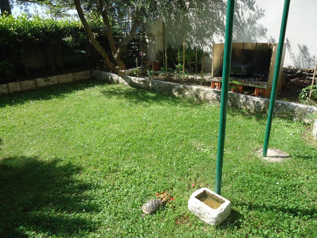 Omis Apartment On The Beach 外观 照片